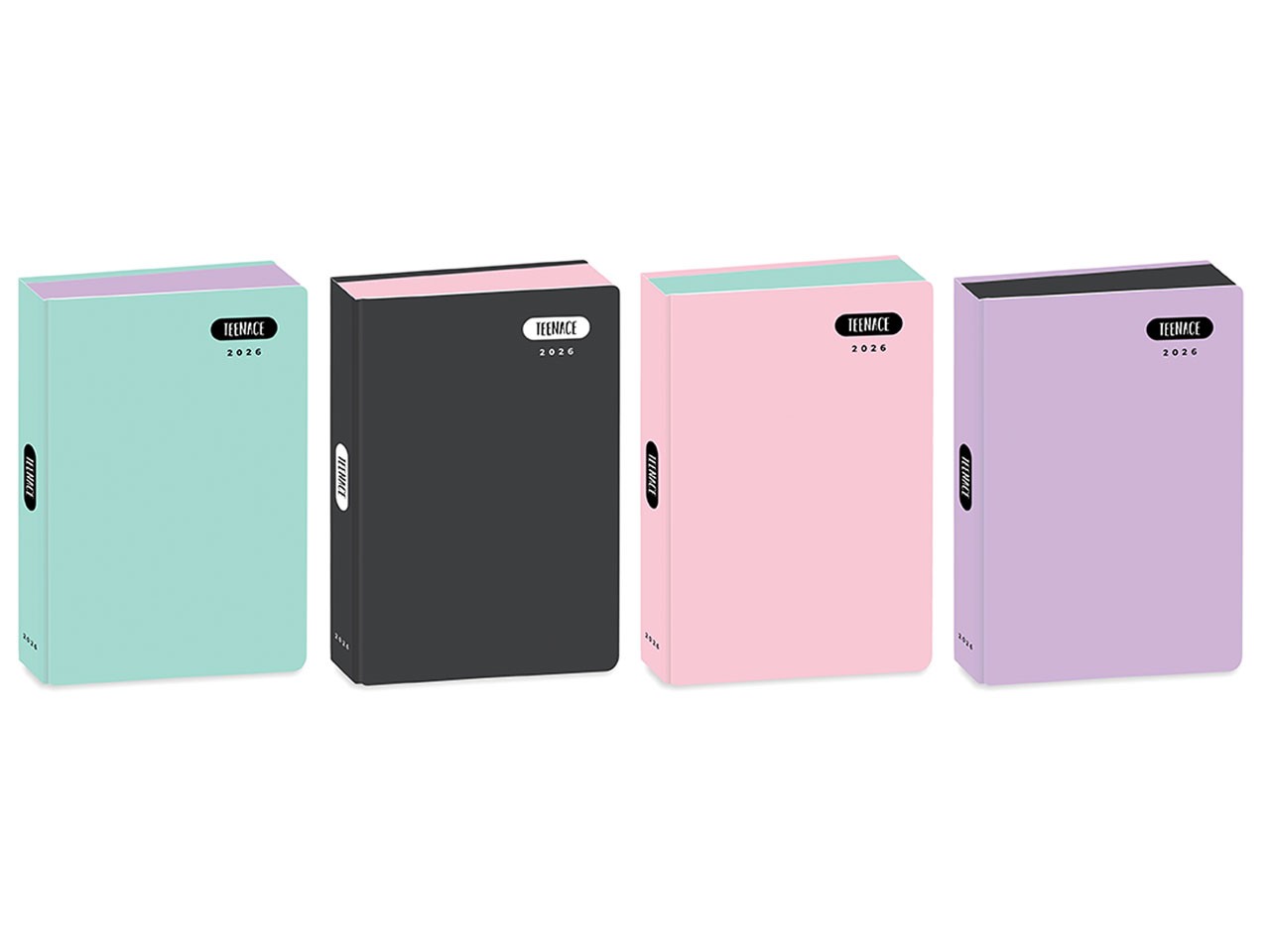DIARIO POCKET 12 MESI PASTELLO 16 CM VENDITA UNITARIA COLORE CASUALE