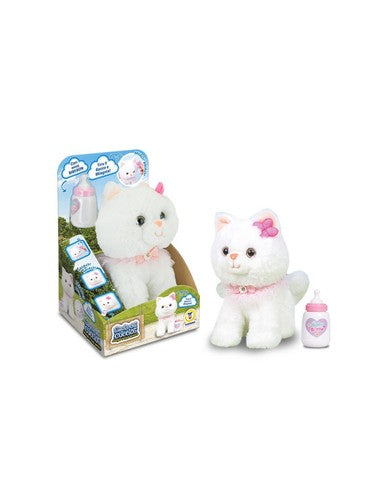 LISOLA-DEI-CUCCIOLI-GATTINI-PRIMI-VERSETTI